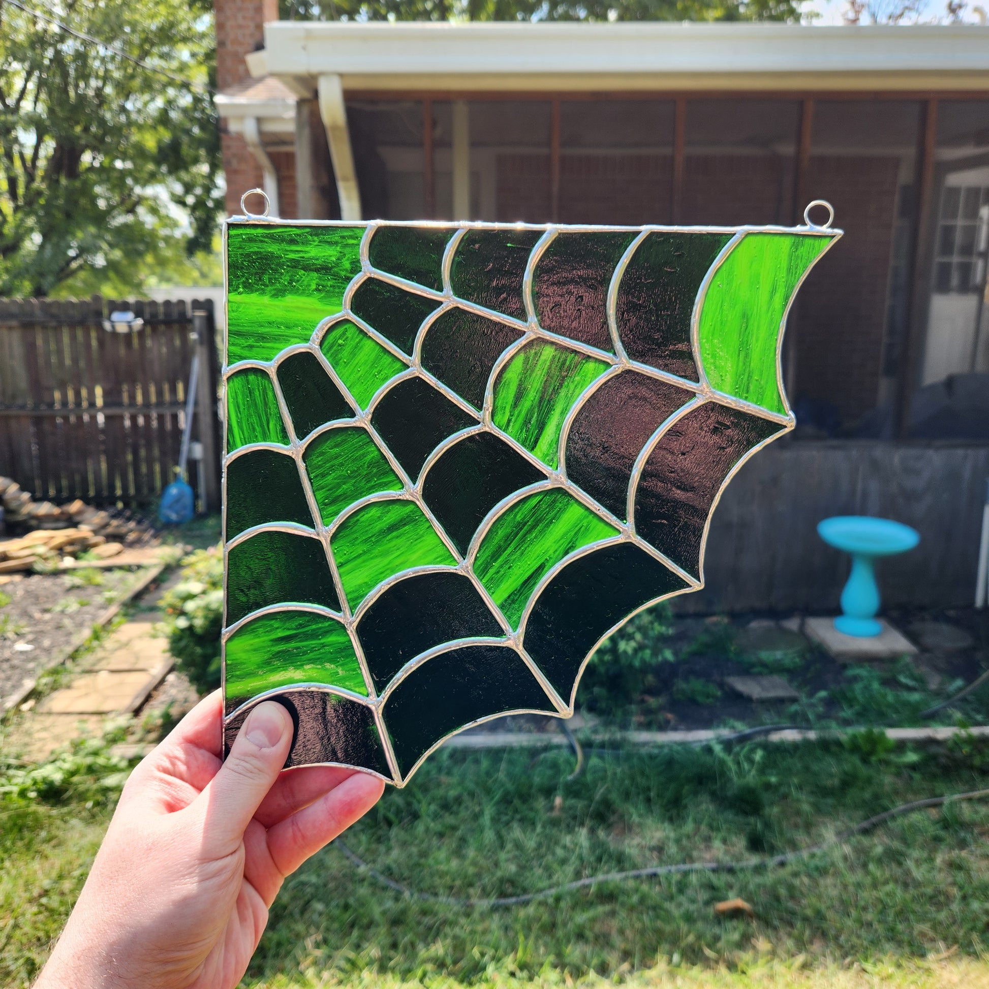 Green cobweb corner in ambient light.
