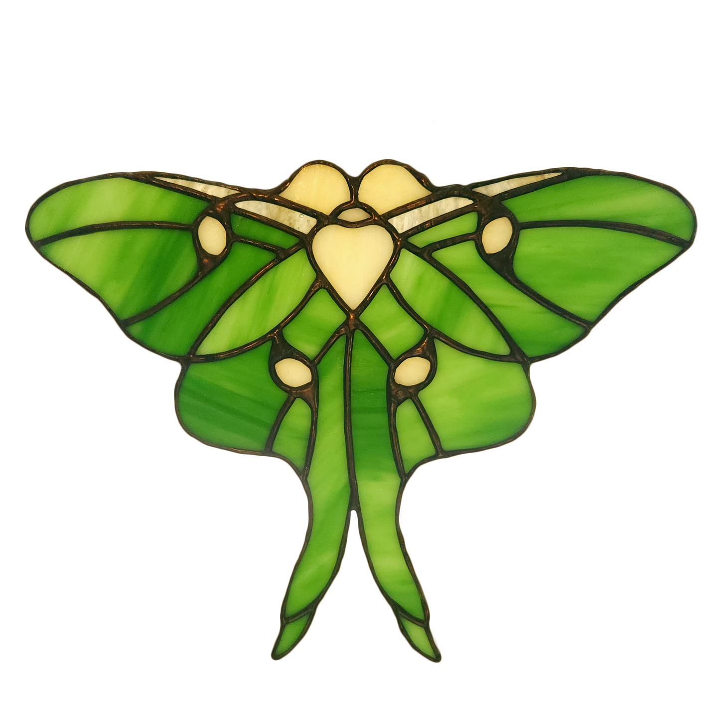 Luna Moth (Spread)