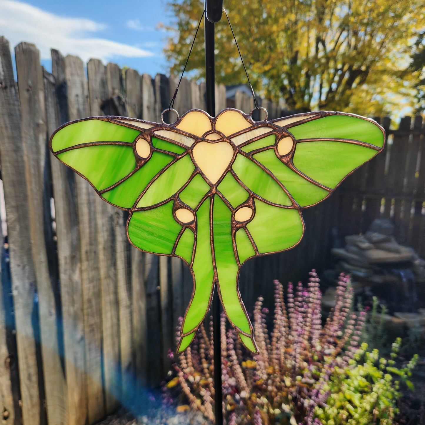 Luna Moth (Spread)