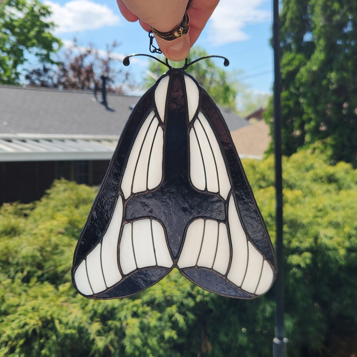 Hapola Clymene
