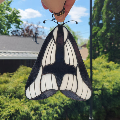 Hapola Clymene