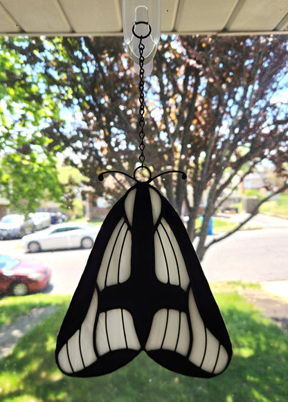 Hapola Clymene