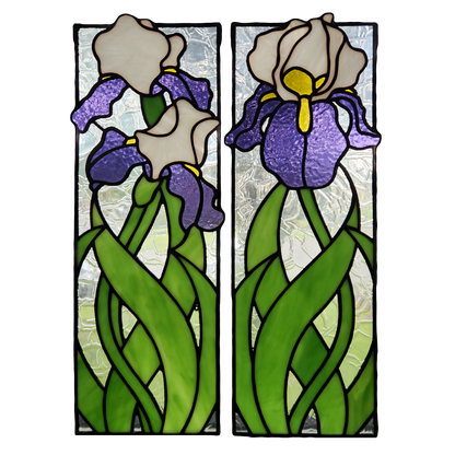 Bearded Iris Pair