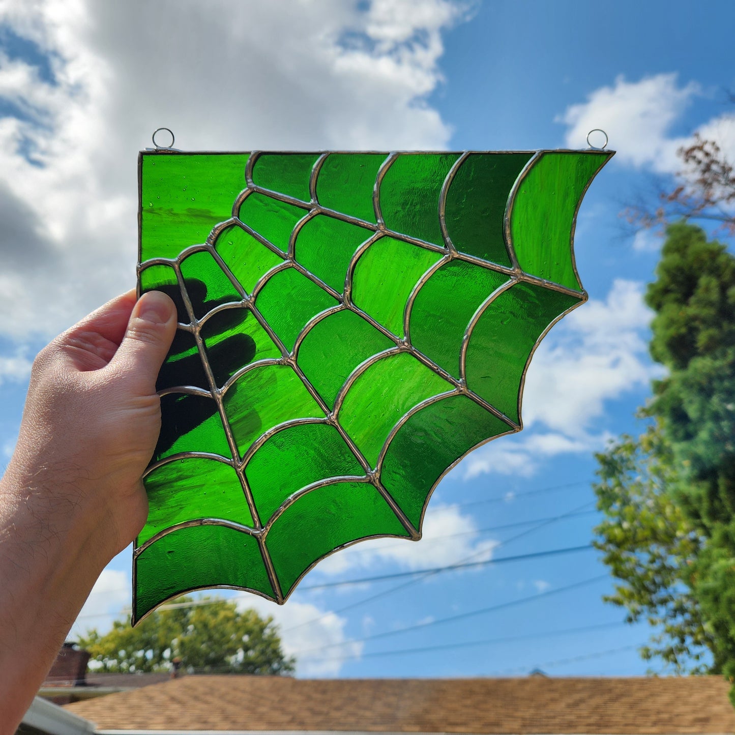 Green cobweb corner held up to the light