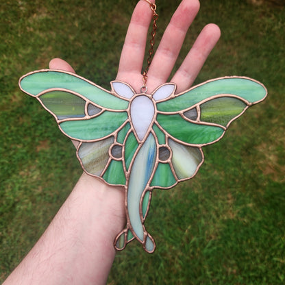 Actias Luna Nouveau